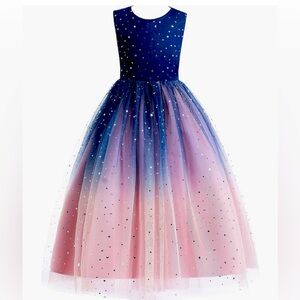 Princess Sparkle Tulle Dress Flower Girls Ombre Fancy Party Dress (Blue & Pink)
